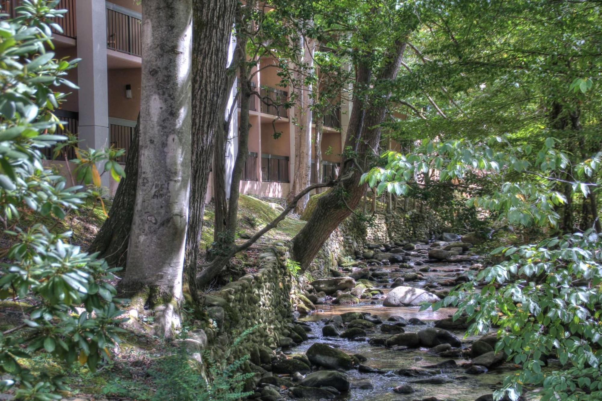 Hampton Inn Gatlinburg Exterior foto